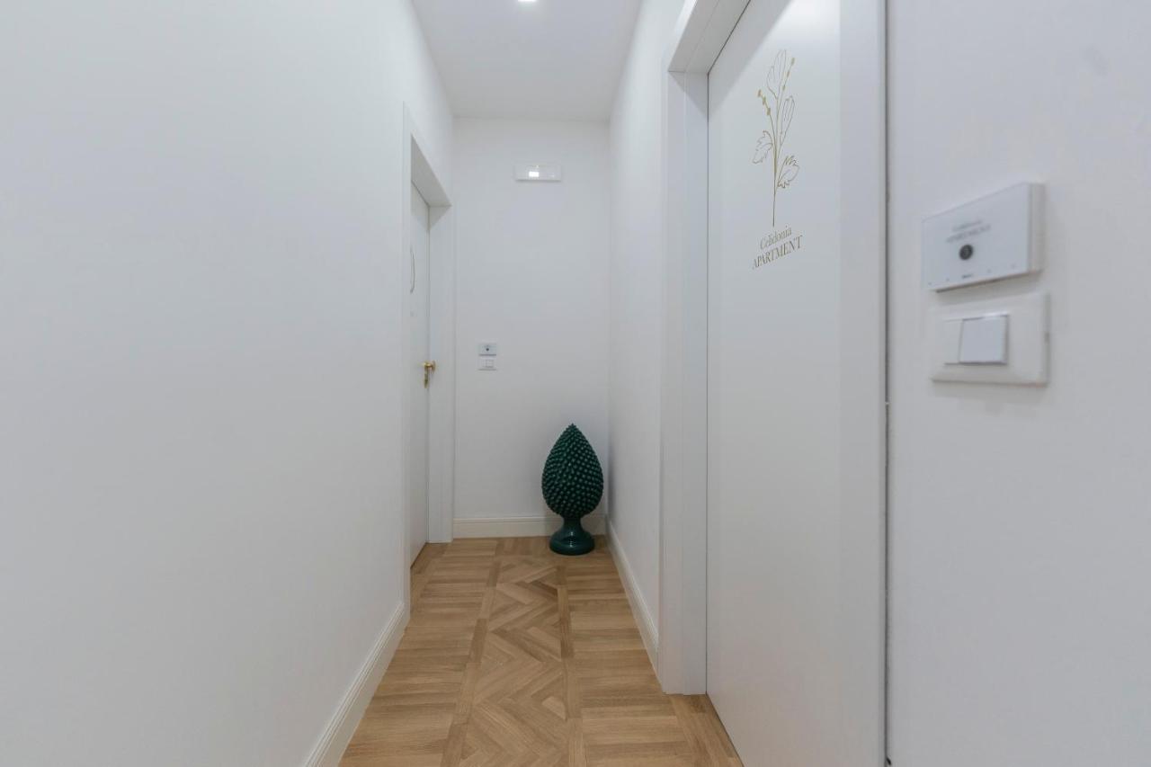 Aldrovandi Luxury Suites And Apartment Bologna Exterior photo